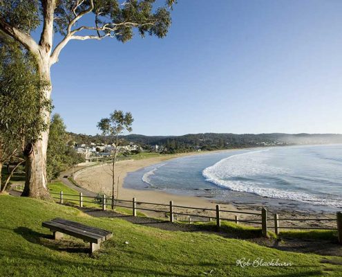 Lorne Accommodation Book Direct And Save